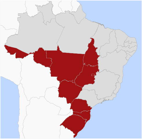 Brasil Telecom Area